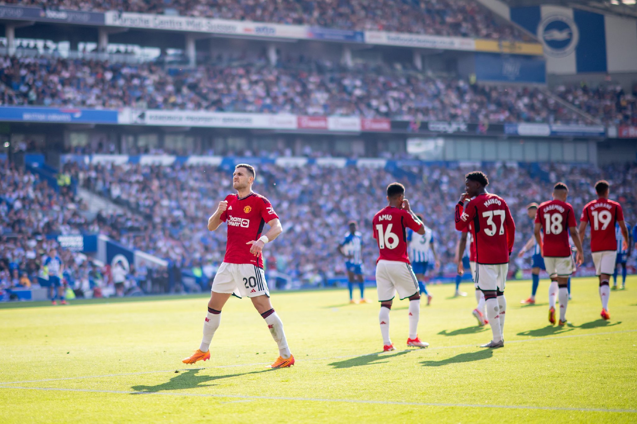 入他增强球 入他增强球